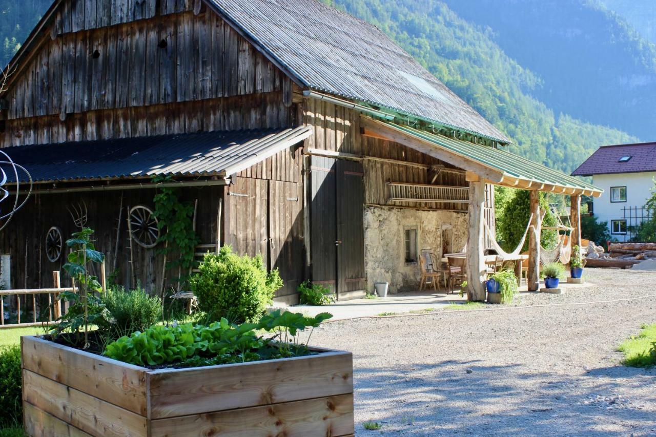 Chalet Am Sonnenhang Apartment Obertraun Exterior foto